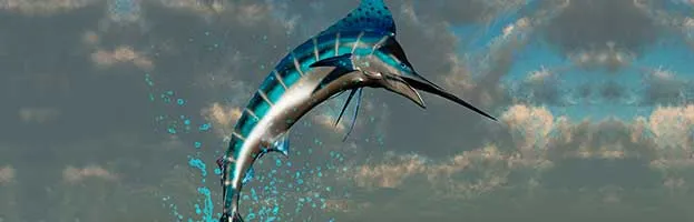 Atlantic Blue Marlin