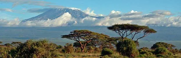 Savanna Biome Savanna Biome
