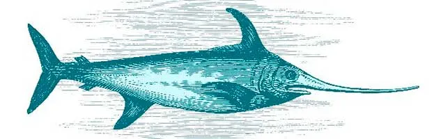 Swordfish