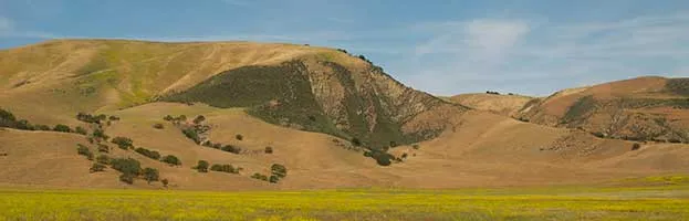 Chaparral Biome