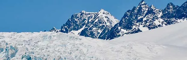 Tundra Biome Tundra Biome