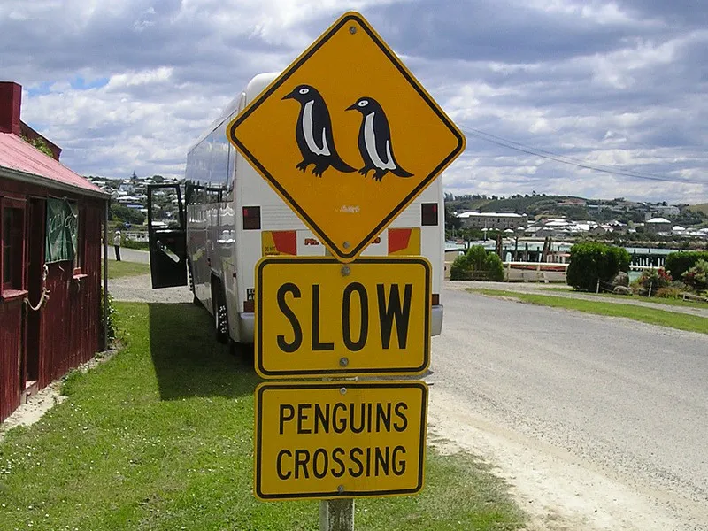 Humans and Penguins