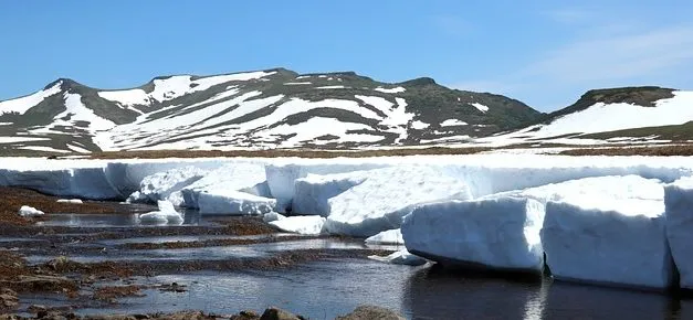 Tundra Biome Quiz