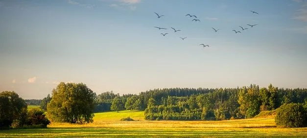 Wildlife Habitats Quiz